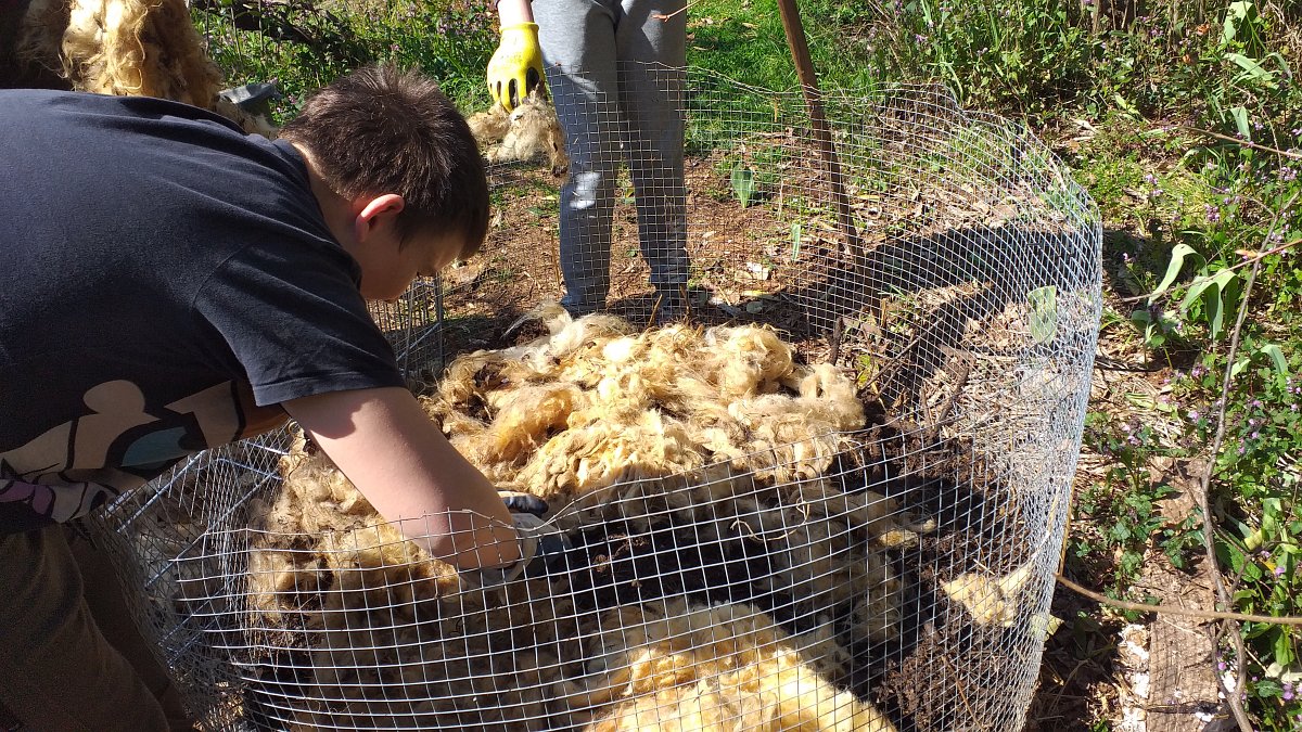 Zadrugarska vuna u vrtu Waldorfske škole u Rijeci 
